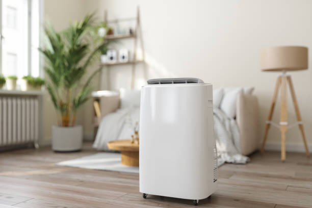 Best Air Quality Test  in Lemmon Valley, NV
